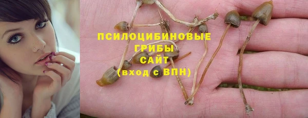 ешки Бронницы