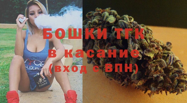 мескалин Богородицк