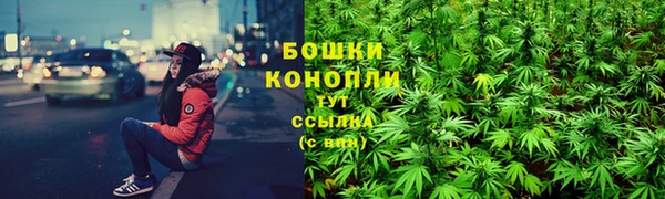 ешки Бронницы
