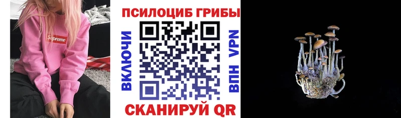 блэк спрут ONION  Обь  Галлюциногенные грибы Psilocybe 